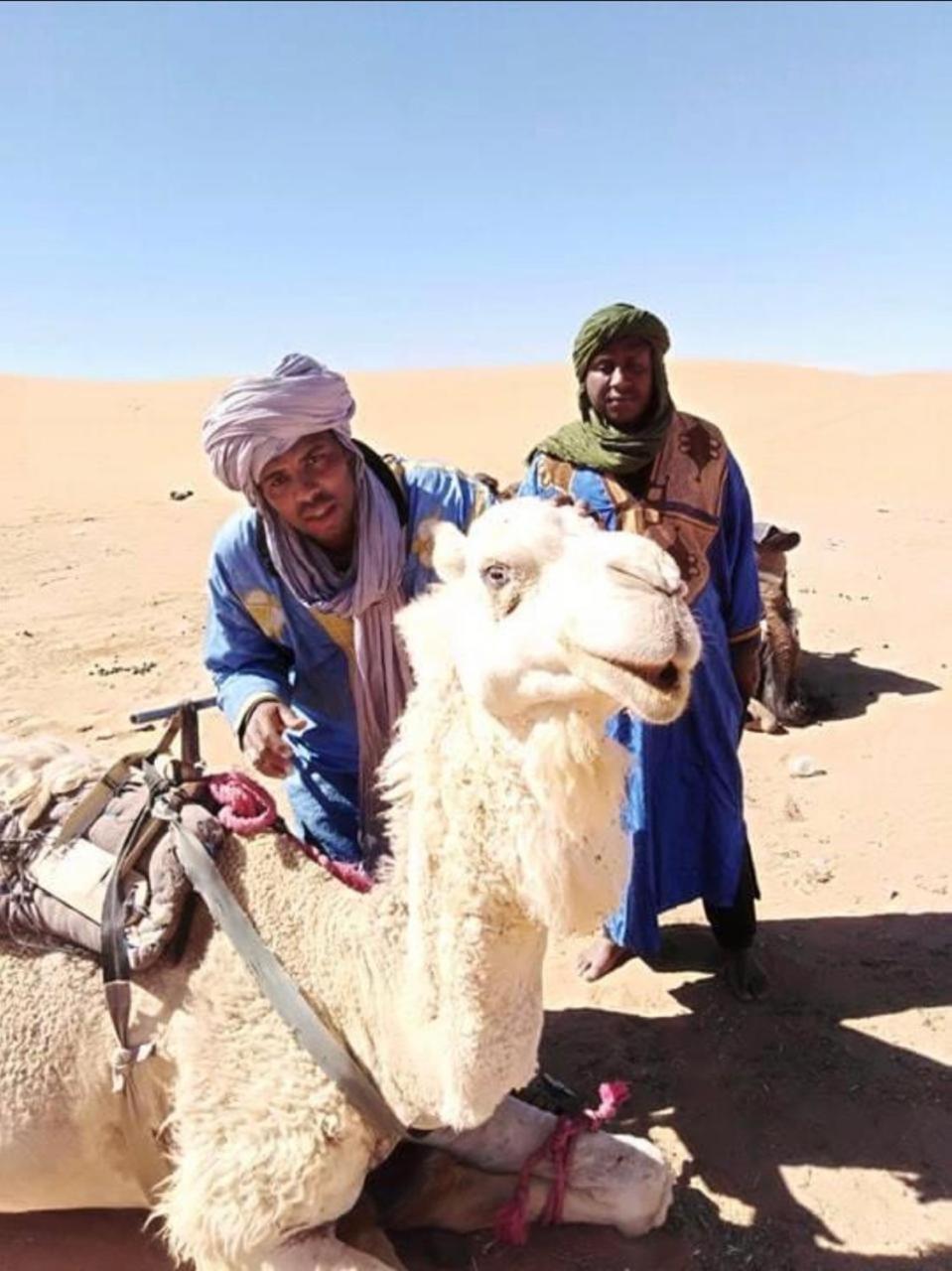 Riad Dar Susan - Authentic Stay In Zagora Eksteriør billede